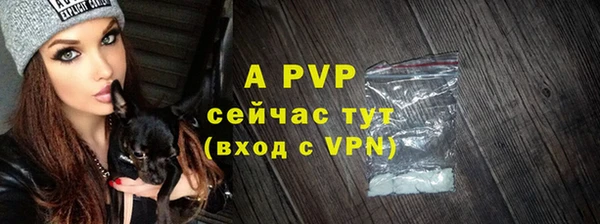 СК Абинск